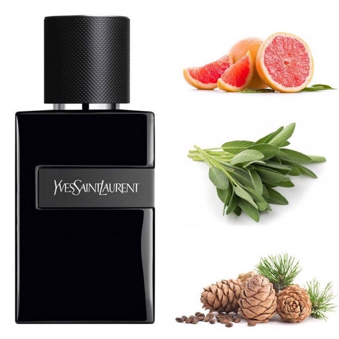Riview nước hoa Yves Saint Laurent Y Le Parfum